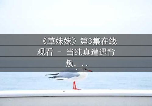 《草妹妹》第3集在线观看 - 当纯真遭遇背叛,谁能守护最后的希望?