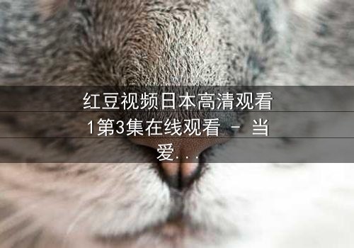 红豆视频日本高清观看1第3集在线观看 - 当爱与背叛交织,谁能全身而退?