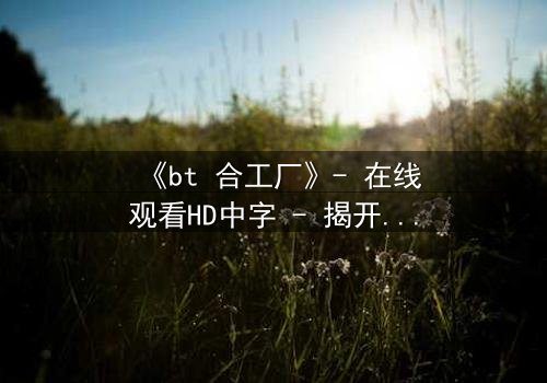 《bt 合工厂》- 在线观看HD中字 - 揭开数字时代的黑暗交易