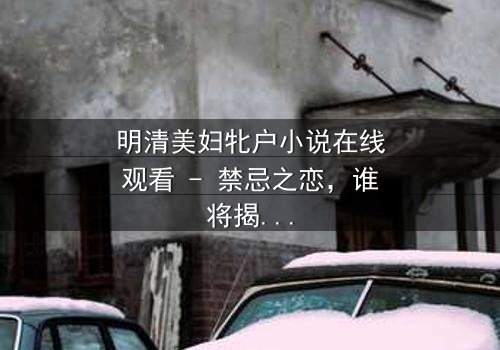 明清美妇牝户小说在线观看 - 禁忌之恋,谁将揭开那层神秘面纱?