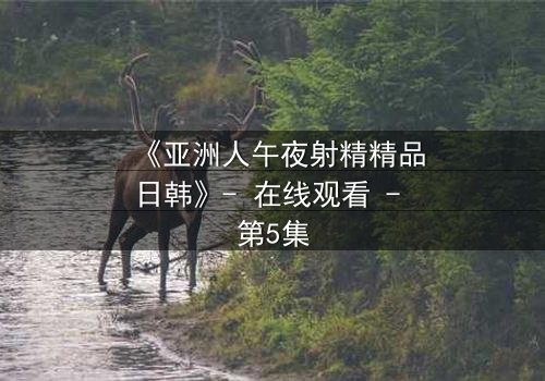 《亚洲人午夜射精精品日韩》- 在线观看 - 第5集