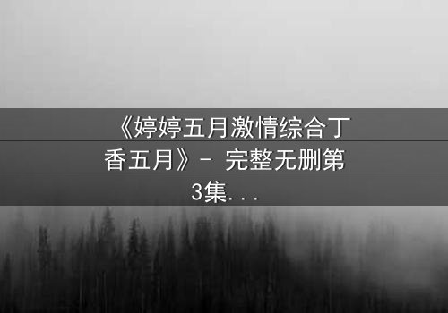 《婷婷五月激情综合丁香五月》- 完整无删第3集 - 免费HD中字在线观看