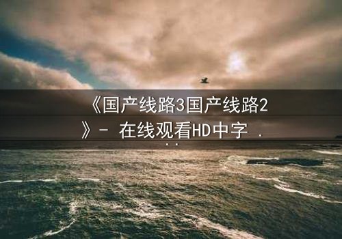 《国产线路3国产线路2》- 在线观看HD中字 - 免费1080P超清完整无删
