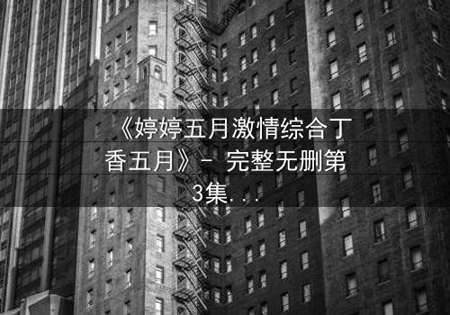 《婷婷五月激情综合丁香五月》- 完整无删第3集 - 免费HD中字在线观看