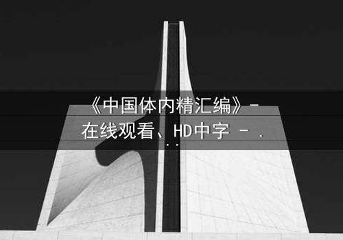 《中国体内精汇编》- 在线观看、HD中字 - 免费、1080P超清