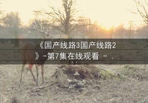 《国产线路3国产线路2》-第7集在线观看 - 完整无删HD中字