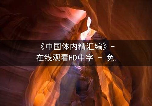 《中国体内精汇编》- 在线观看HD中字 - 免费1080P超清完整无删第3集