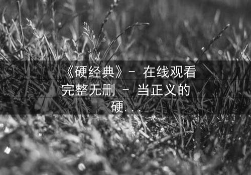 《硬经典》- 在线观看完整无删 - 当正义的硬核碰撞经典的背叛