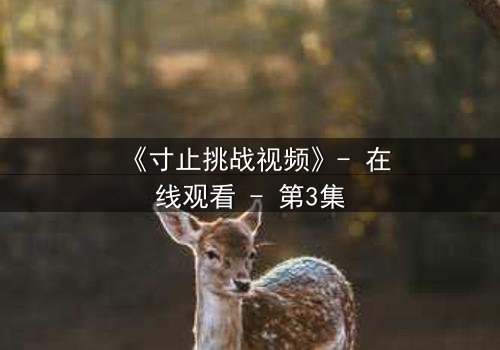 《寸止挑战视频》- 在线观看 - 第3集