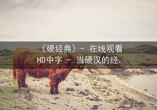 《硬经典》- 在线观看HD中字 - 当硬汉的经典抉择撕裂人生