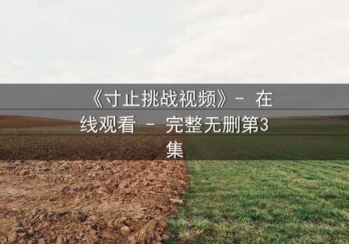 《寸止挑战视频》- 在线观看 - 完整无删第3集